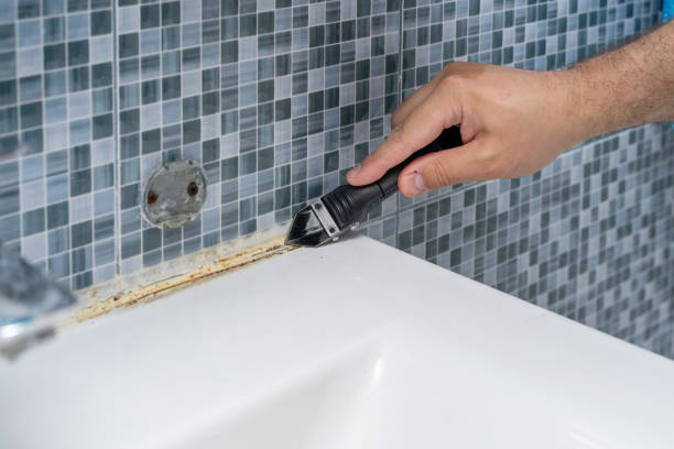Office Mold Removal Services in Springfield, MI